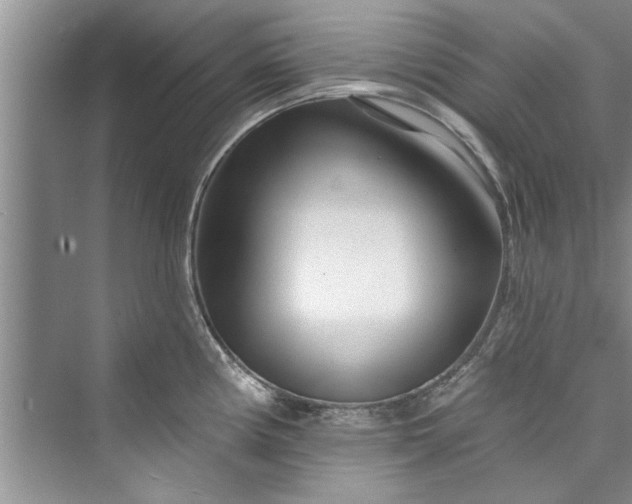 X0000073421194200608111343