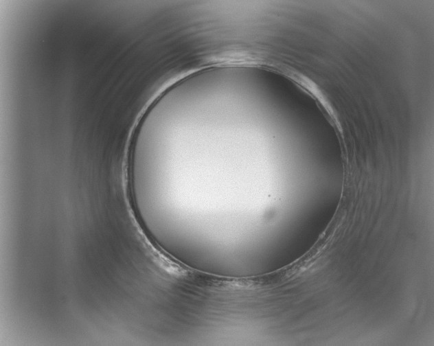 X0000073421195200608111343