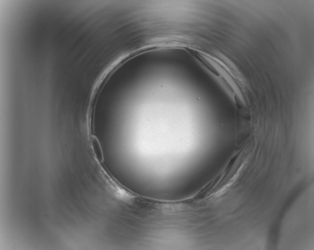 X0000073421196200608111343