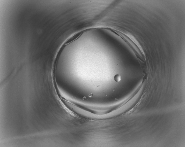 X0000073421197200608111343