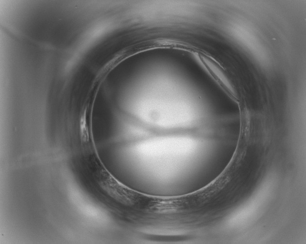 X0000073421198200608111343