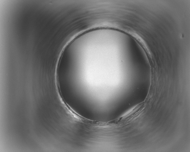 X0000073421199200608111343