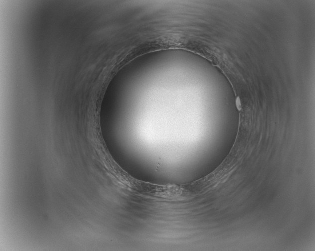 X0000073421201200608111342