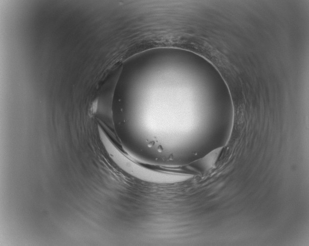 X0000073421202200608111342