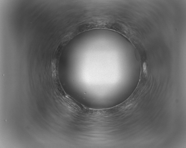 X0000073421203200608111342