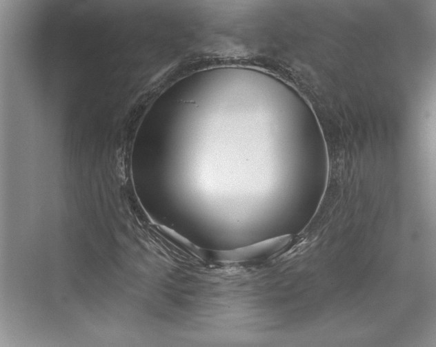 X0000073421205200608111342