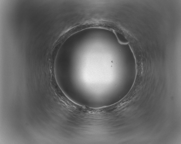 X0000073421206200608111342