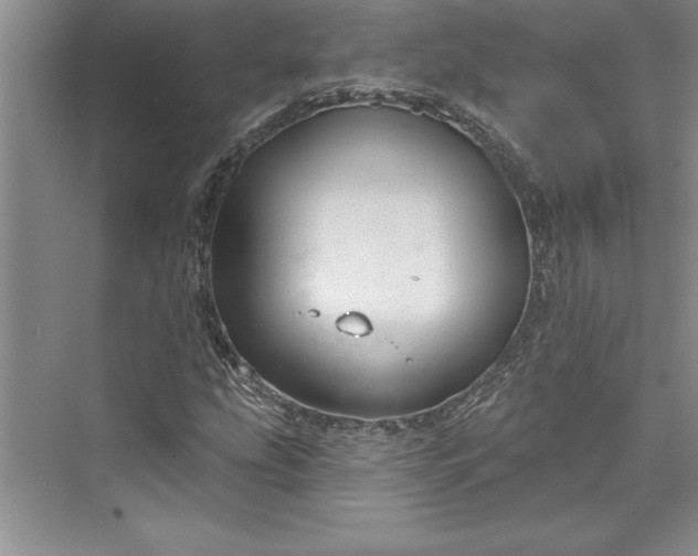 X0000073421207200608111342