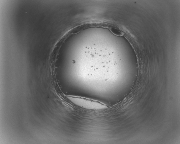 X0000073421208200608111342