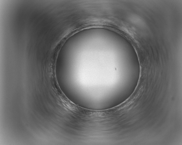 X0000073421211200608111342