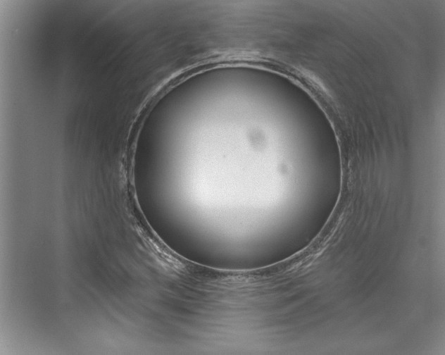 X0000073421212200608111342