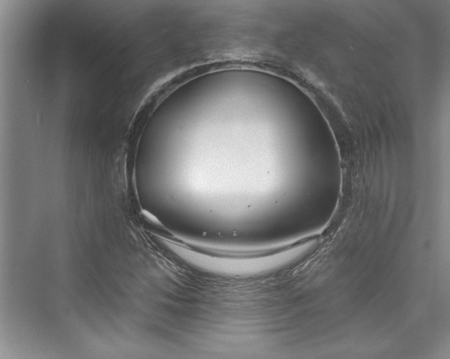 X0000073421214200608111342