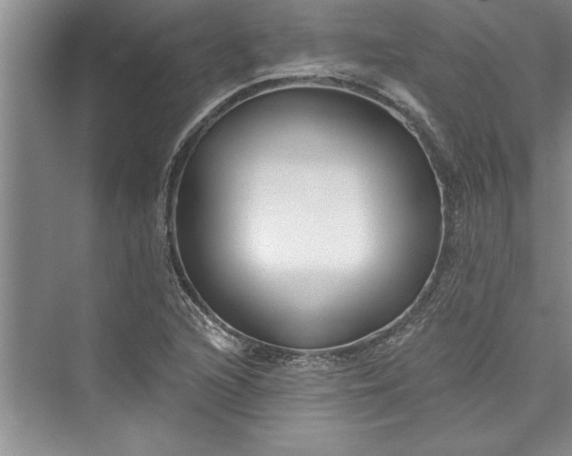 X0000073421216200608111342