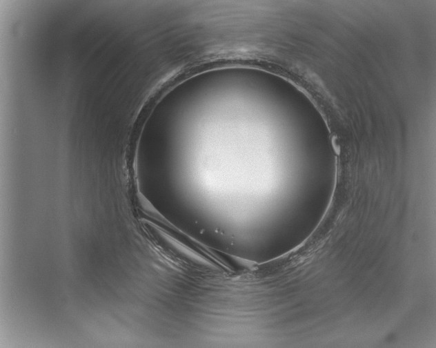 X0000073421218200608111342