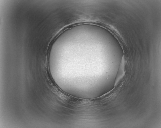 X0000073421220200608111342