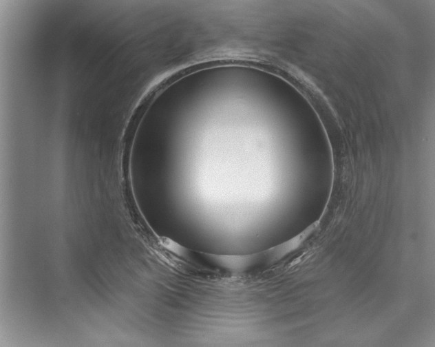 X0000073421222200608111342