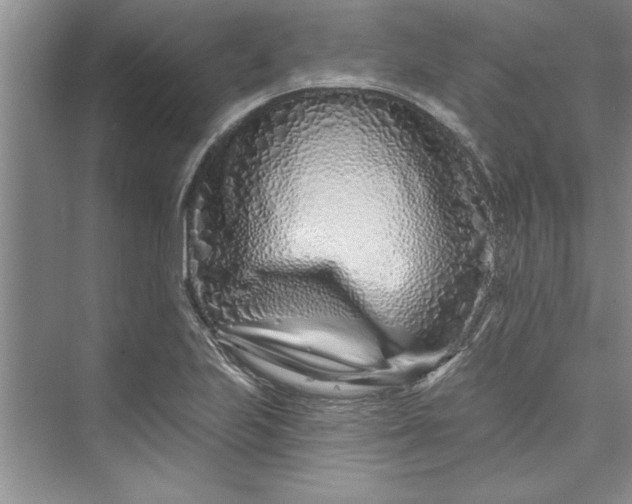 X0000073421223200608111342