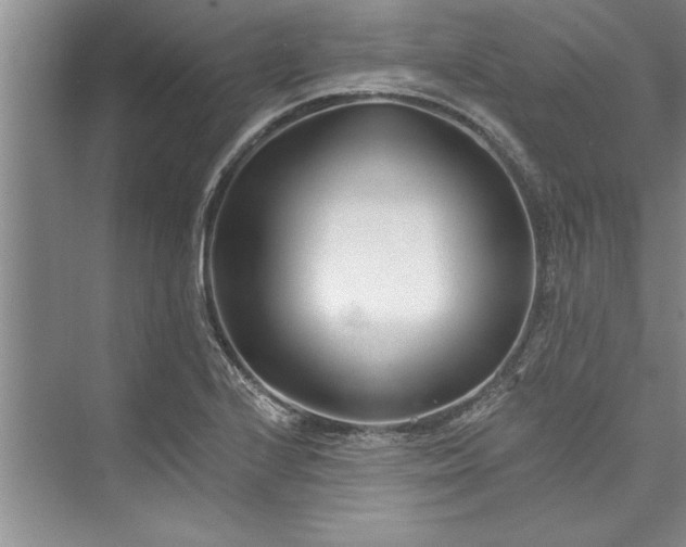 X0000073421224200608111342