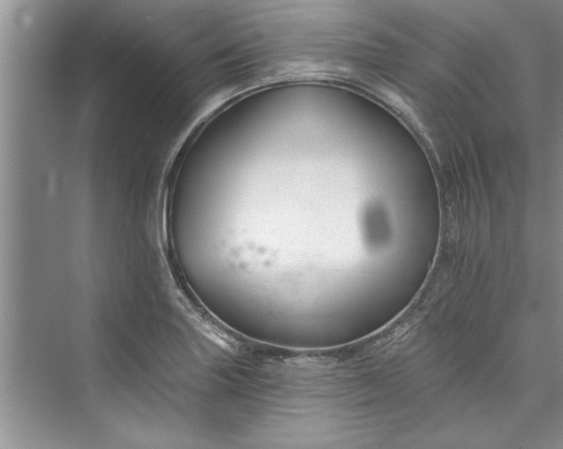 X0000073421227200608111342