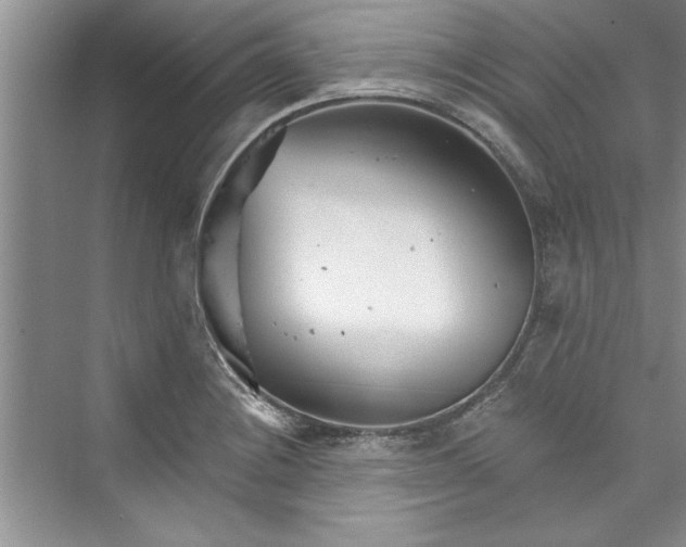 X0000073421228200608111342