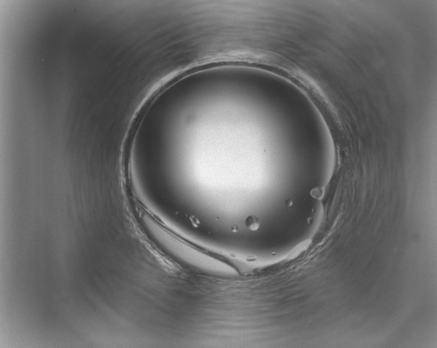 X0000073421230200608111342