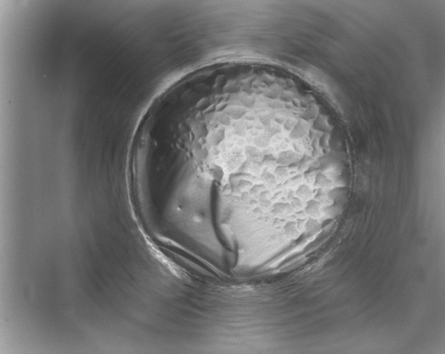 X0000073421231200608111342