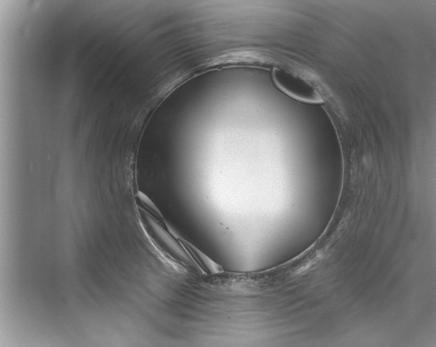 X0000073421233200608111342