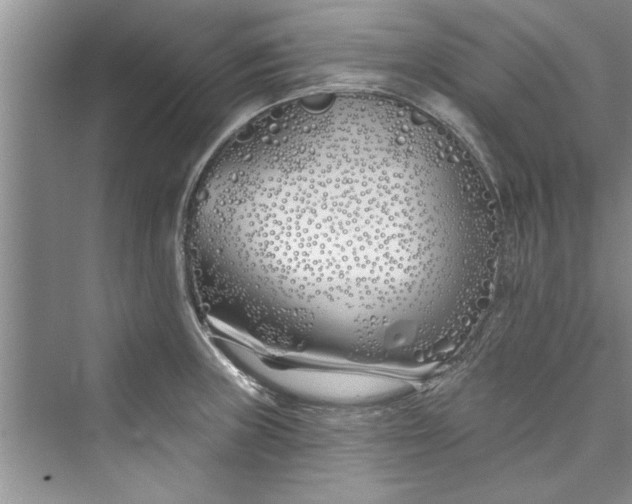 X0000073421235200608111342