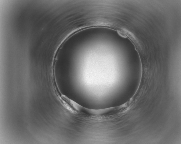 X0000073421236200608111342