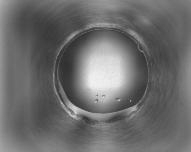 X0000073421237200608111343