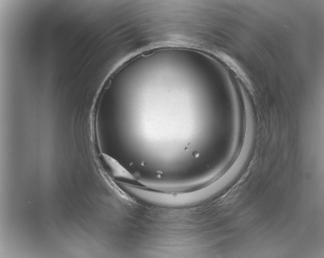 X0000073421238200608111343