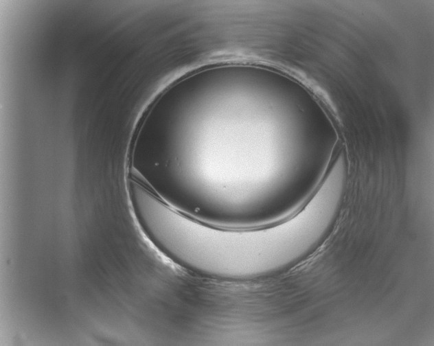 X0000073421239200608111343