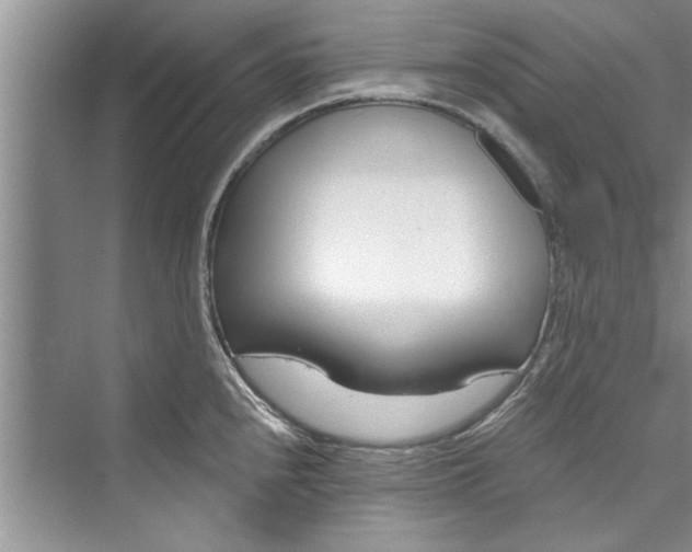 X0000073421240200608111343