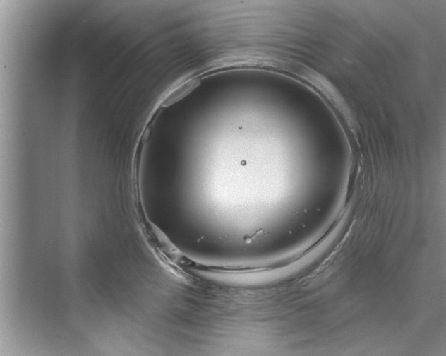 X0000073421242200608111343