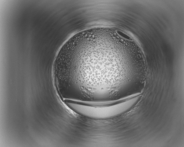 X0000073421243200608111343