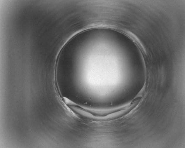 X0000073421244200608111343