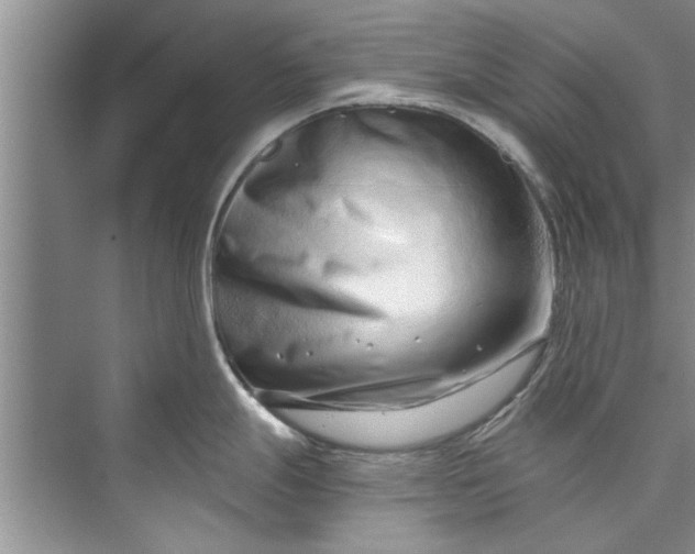 X0000073421247200608111343