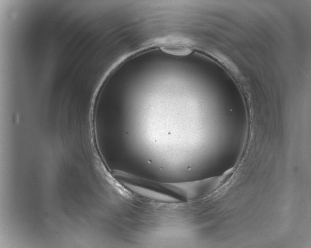 X0000073421248200608111343