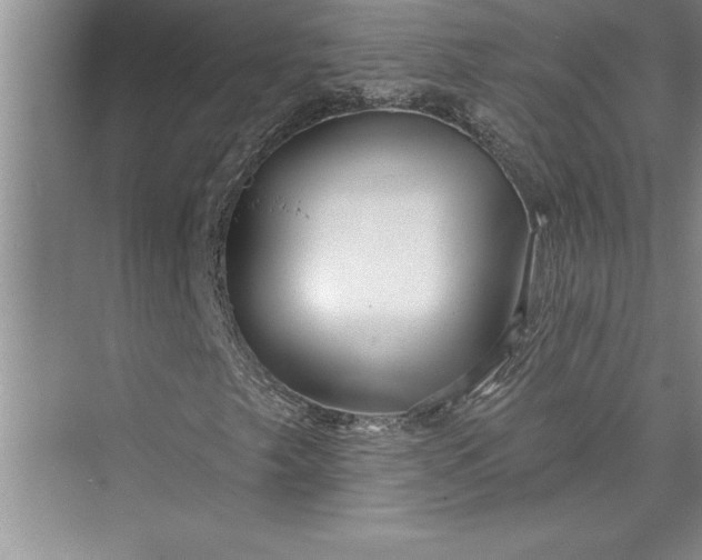 X0000073421249200608111342