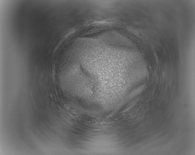 X0000073421254200608111342