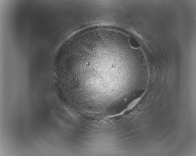 X0000073421255200608111342