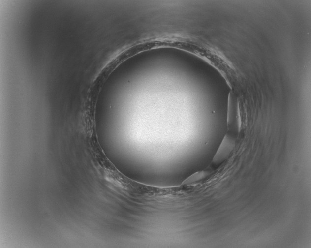 X0000073421256200608111342