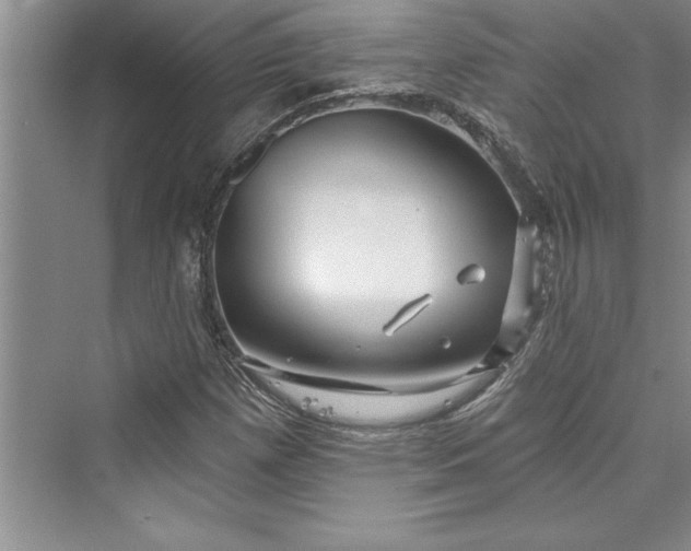 X0000073421257200608111342