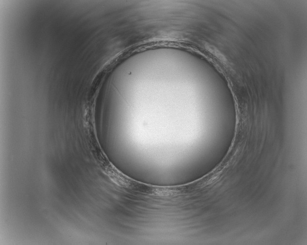 X0000073421258200608111342