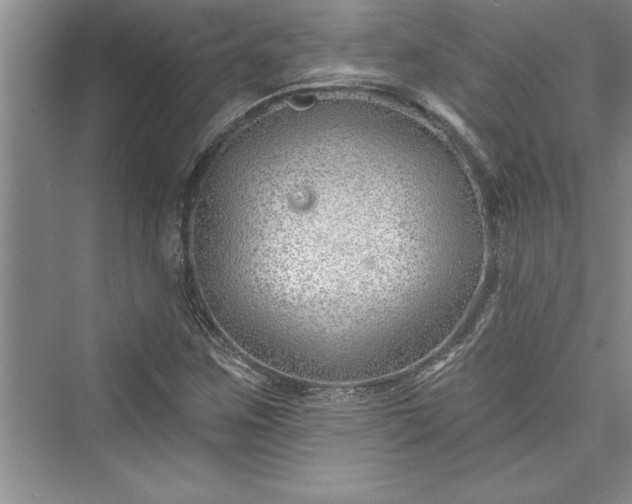 X0000073421259200608111342