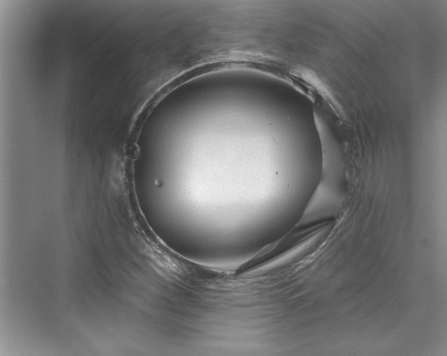 X0000073421260200608111342