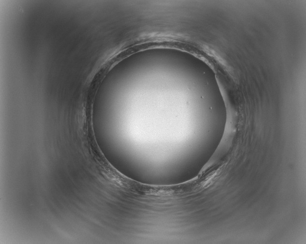 X0000073421261200608111342