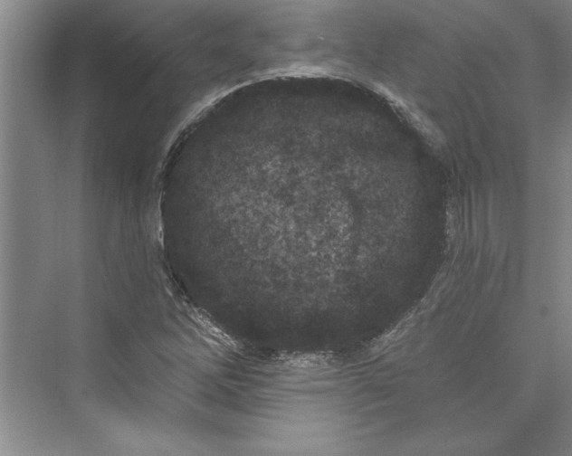 X0000073421262200608111342