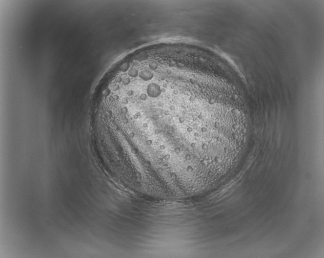 X0000073421263200608111342