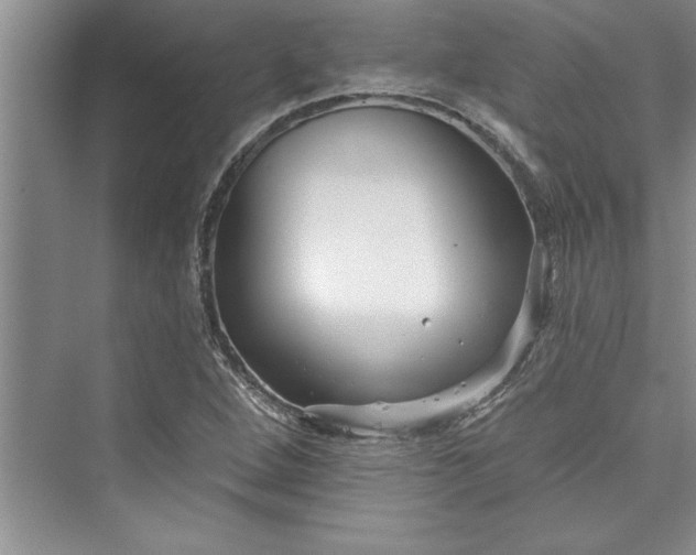 X0000073421264200608111342